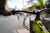 VAE KELLYS TYGON R50 JAUNE FLUO