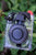 CoolRide Sirène Electronique